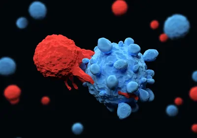 Find out how to overcome CAR T cell therapy&rsquo;s biggest challenges&nbsp;